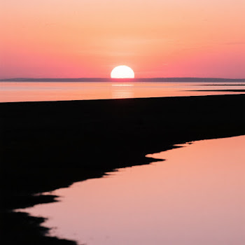main img