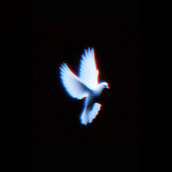 main img