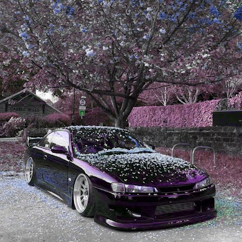load img