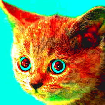load img