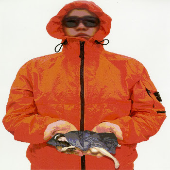 main img