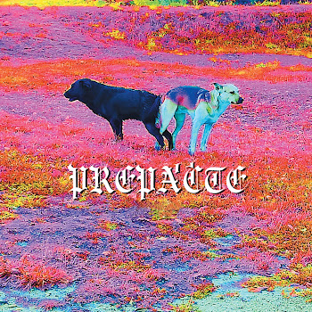 main img