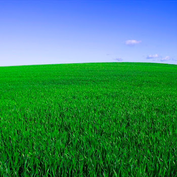 load img