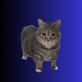 load img