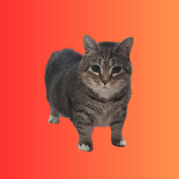 main img