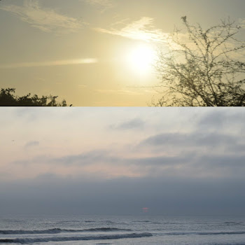 main img