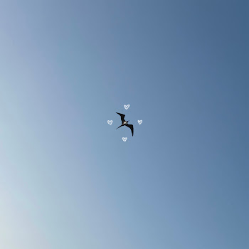 main img