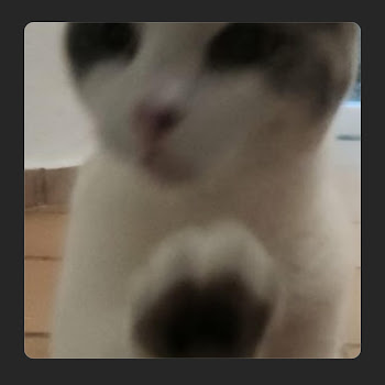 load img
