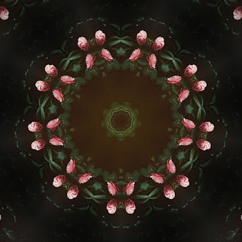 main img