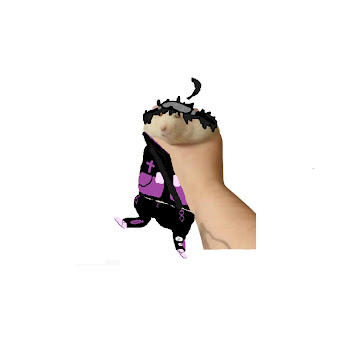 main img