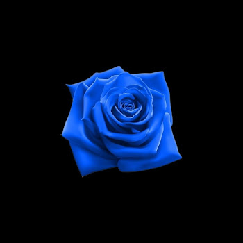 main img