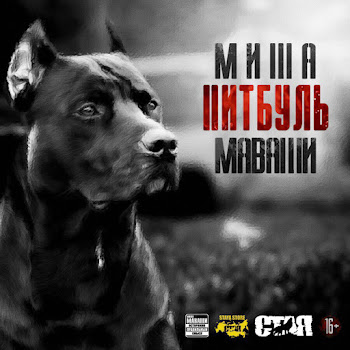 main img