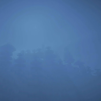 main img