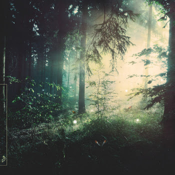 main img