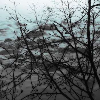main img