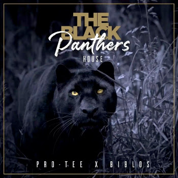 load img