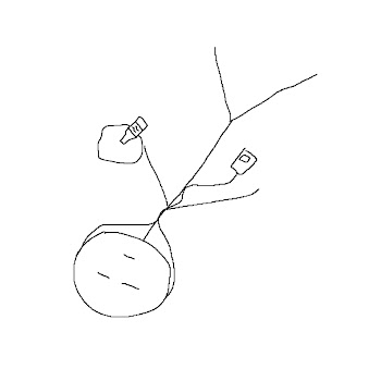 main img