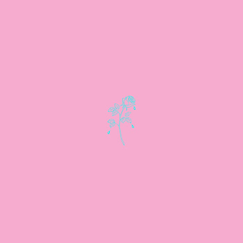 main img