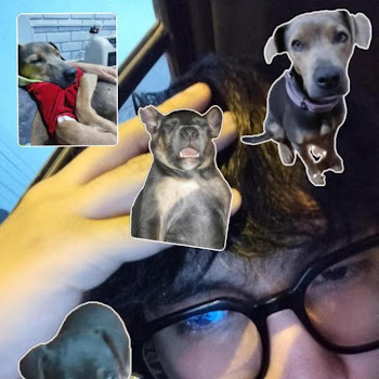 main img
