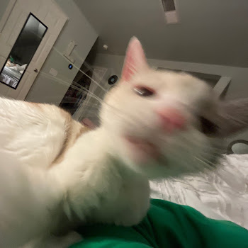load img