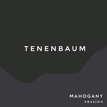 The Paper Kites — Tenenbaum (Mahogany Sessions)