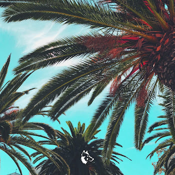 load img