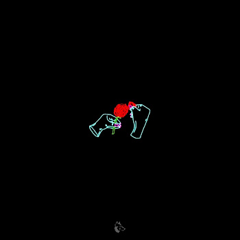 load img
