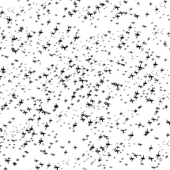 load img