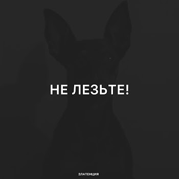 main img