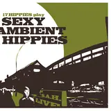 17 Hippies — Ein Fall Für Kommissar Kubrik