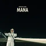 A2O — Mana