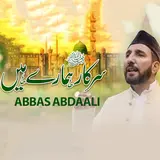 Abbas Abdaali — Sarkar Hamaray Hain