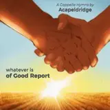 Acapeldridge — Paradise Valley