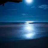 Acerting Art — Beethoven Moonlight Sonata With Relaxing Nature Sounds