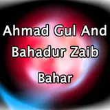 Ahmad Gul — Da Shondo Ft Bahadur Zaib