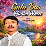 Ahmad Gul — Gula Bus Hagha Wraze