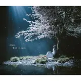 Aimer — 春はゆく - Haruhayuku