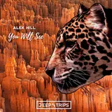 Alex Hill — You Will See (Chunkee Remix)