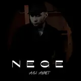 Али Ахмет — Nege
