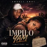 Amahle Qwnz — Impilo Yam