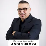 Andi Shkoza — Nje Vajze Kam Dashur