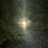 Aurora Hills — Coconut (Slowed & Reverb)