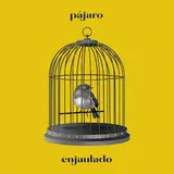 Ayax — Pájaro Enjaulado