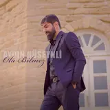 Aydin Huseynli — Ola Bilmez
