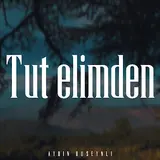 Aydin Huseynli — Tut Elimden