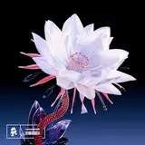 Bad Computer — Undefined