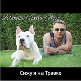 Blatnoy Udar Aziz — Сижу Я На Травке
