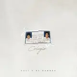 Cali Y El Dandee — Yo Te Esperaré