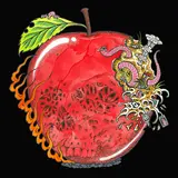 Cameron Whitcomb — Bad Apple