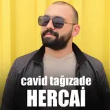 Cavid Tağızadə — Hercai (Çelik Cover)
